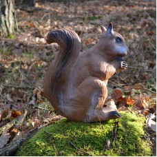 Longlife 3D Target Squirrel : BT89