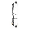 Mathews Compound Bow Title 40