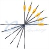 Easton ACE Arrows with Beiter Pin Nocks & EP49 Points (set of 12) : ES51Carbon ArrowsES51 3FL 12 R