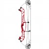 Hoyt Concept X 37 Compound