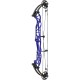 Hoyt Concept X 37 Compound with CDM Mods 26-29" : HB01