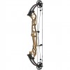 Hoyt Concept FX 34 Compound