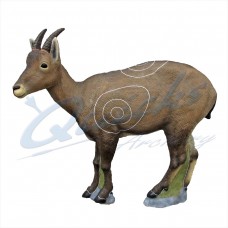 SRT Female Ibex Rebecca :  ST13