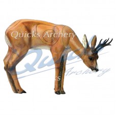 SRT Grazing Roe Buck : ST23