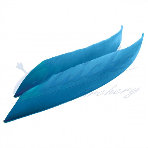 Trueflight Commercial Grade Feathers (each) : ZF45FeathersZF45