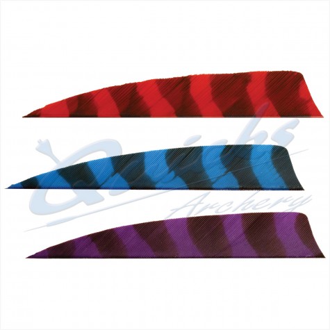 Trueflight Barred Feathers Shield 4 Inch (per doz) : ZF55FeathersZF55 4.0