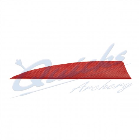 Trueflight Shield Pattern Feather 4 Inch (per doz) : ZF61FeathersZF61